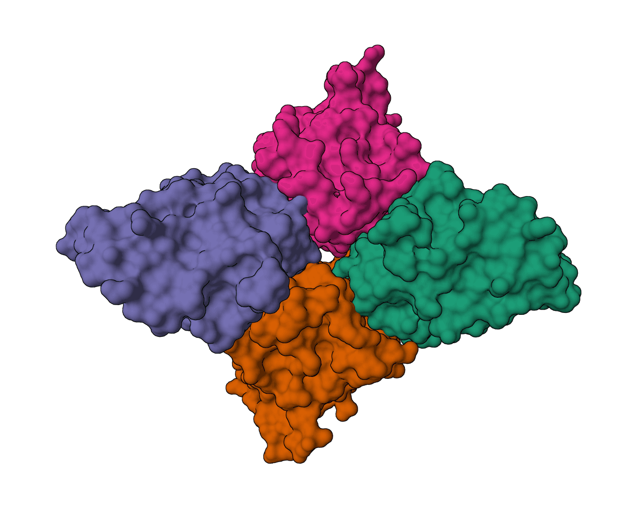 BioPhi