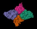 BioPhi icon