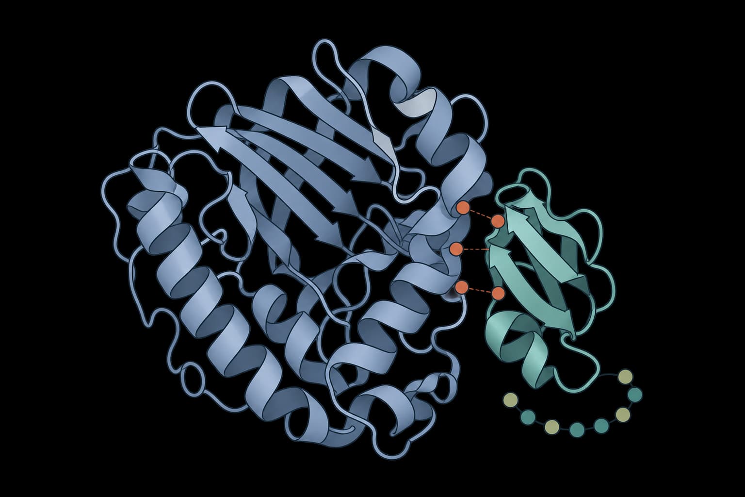 BoltzProt-1