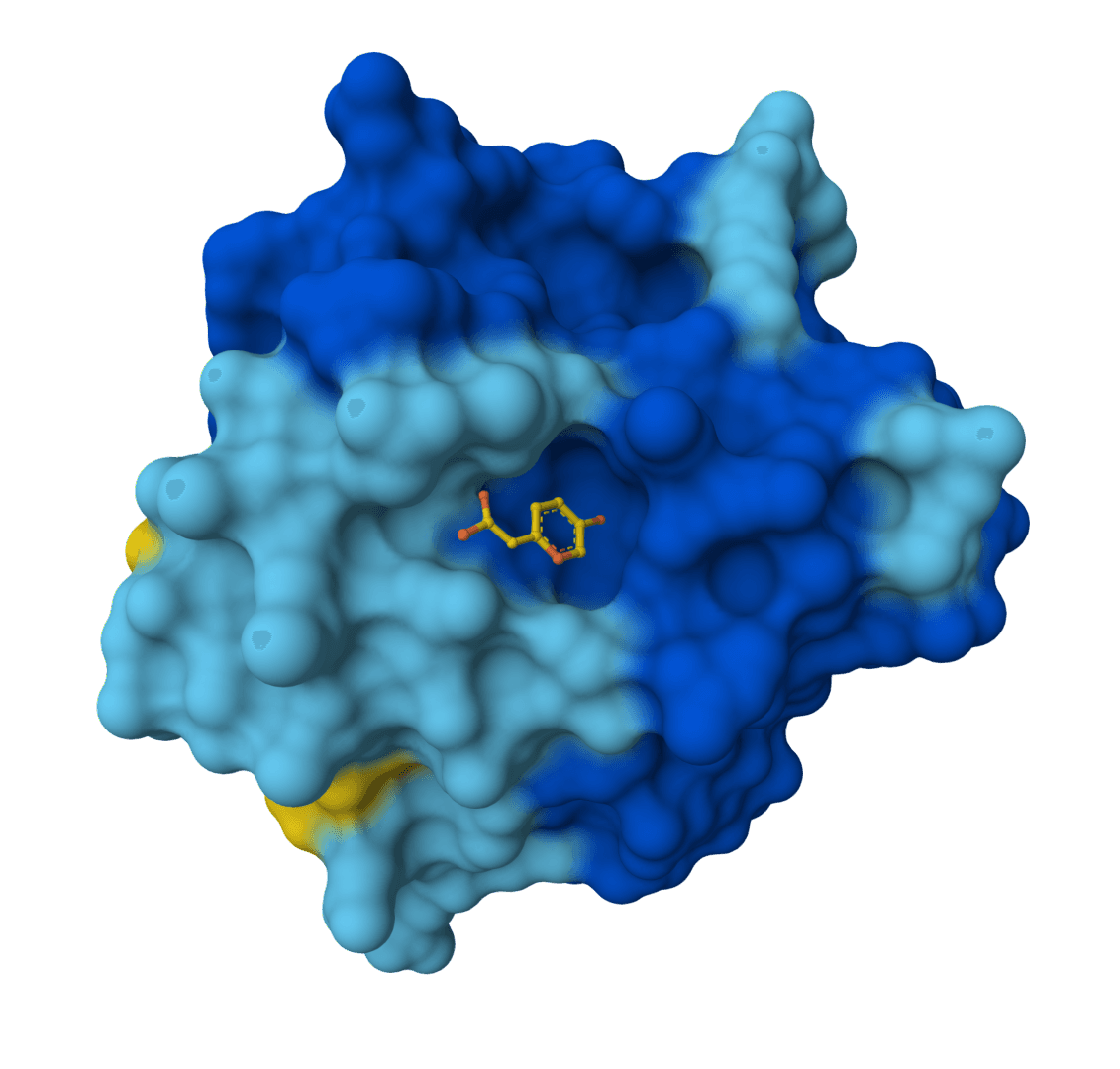 Chai-1