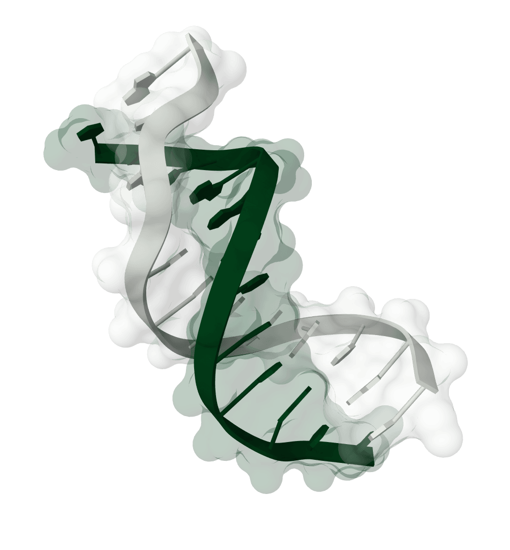 DNA mutation generator