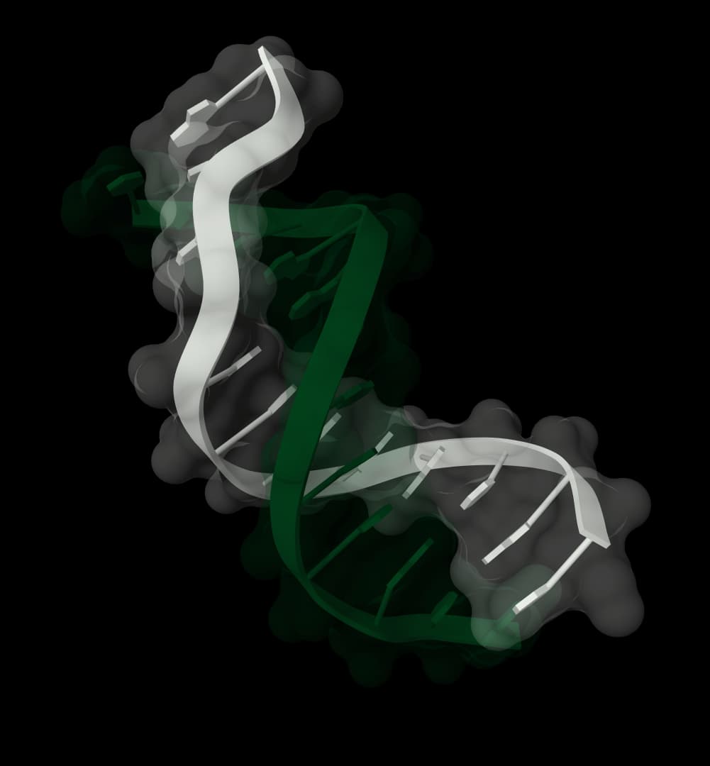 DNA mutation generator icon