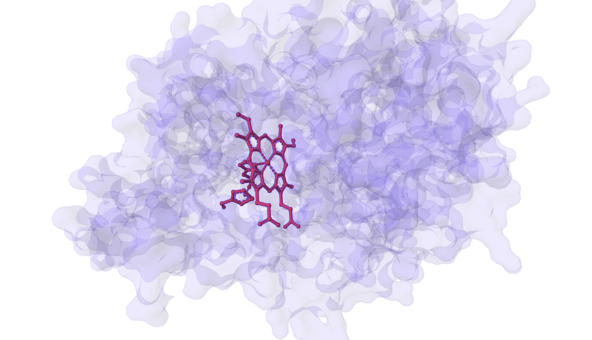 DynamicBind
