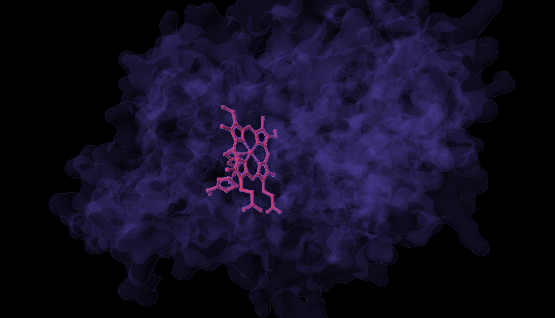 DynamicBind