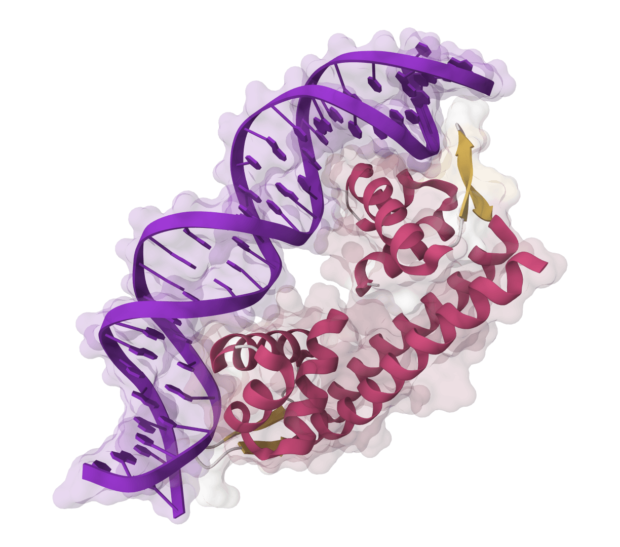 ESM-IF1 example image