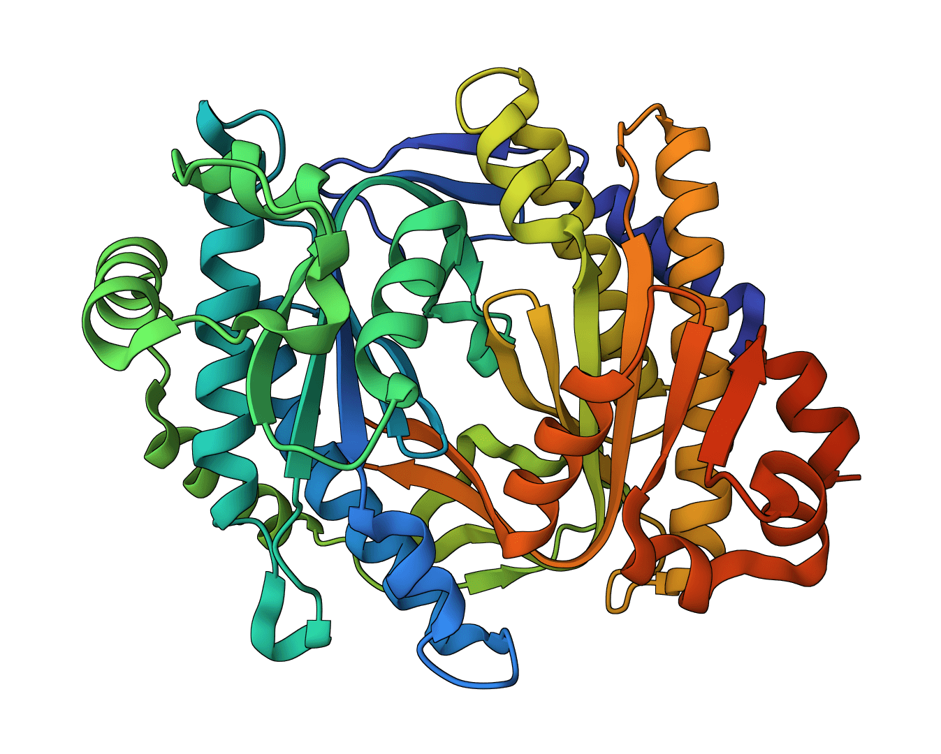 FASTA to FASTQ Converter