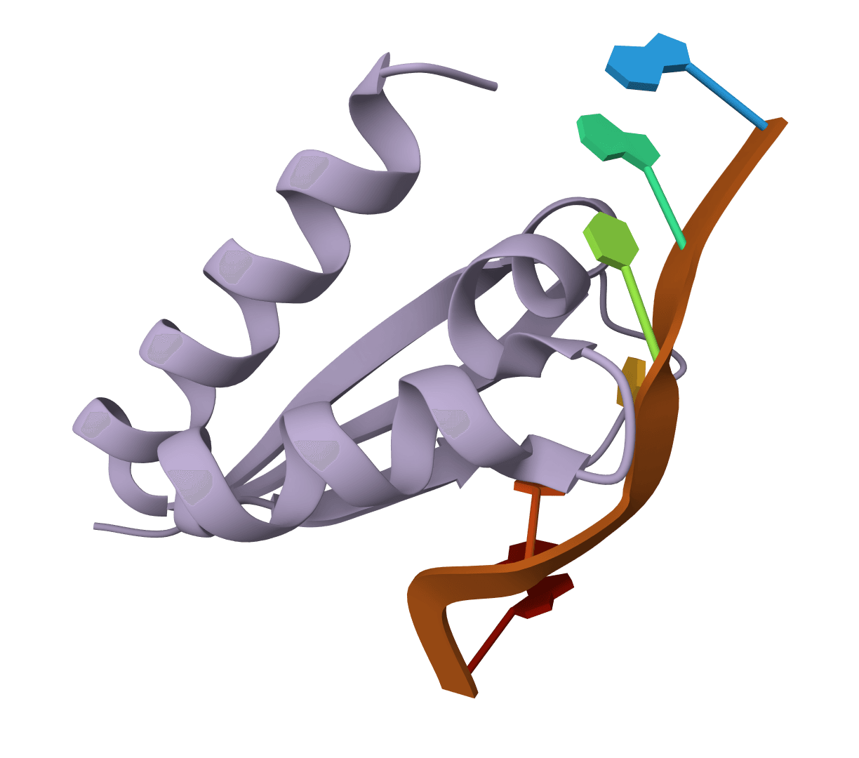FASTQ to FASTA converter