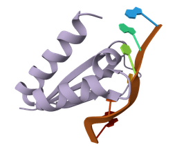 FASTQ to FASTA converter