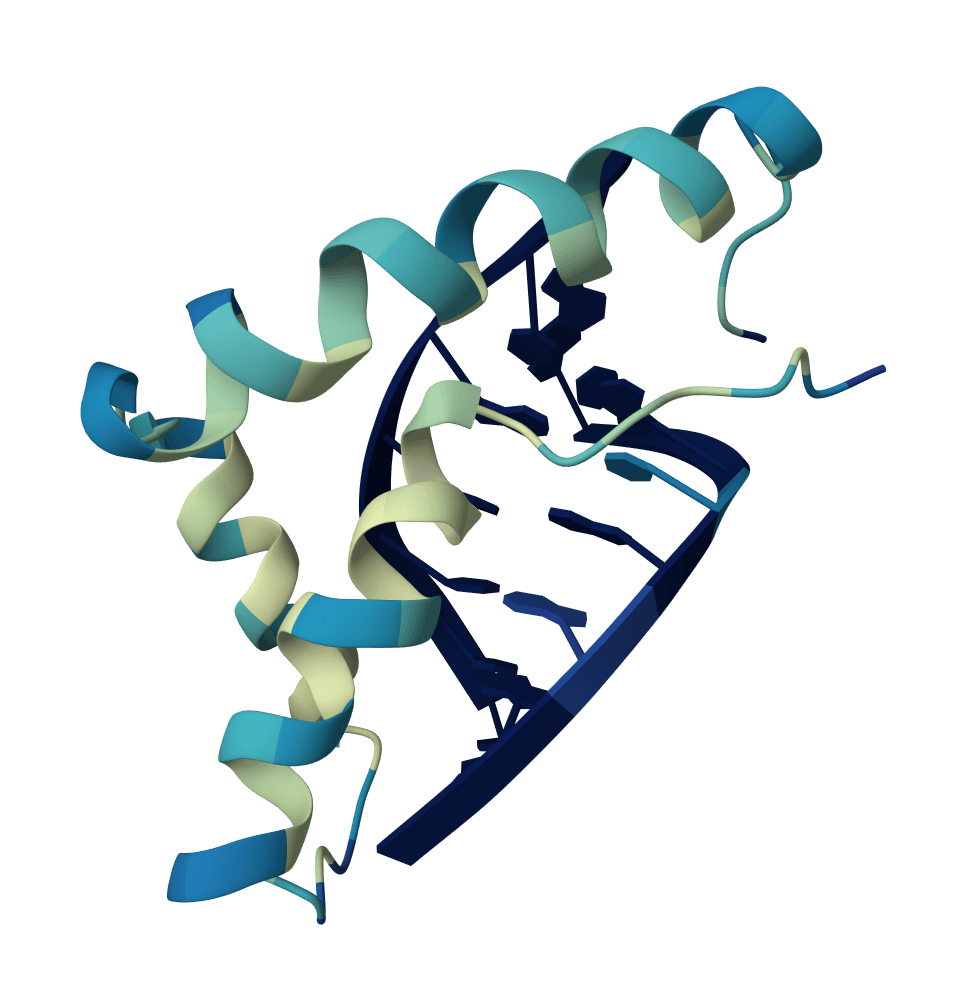 Filter protein