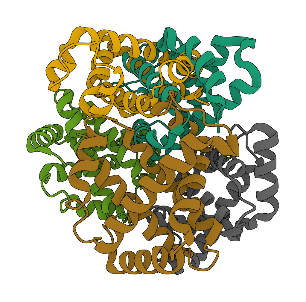 FoldSeek example image