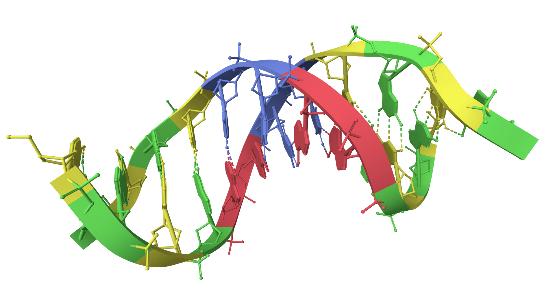 GC content calculator icon