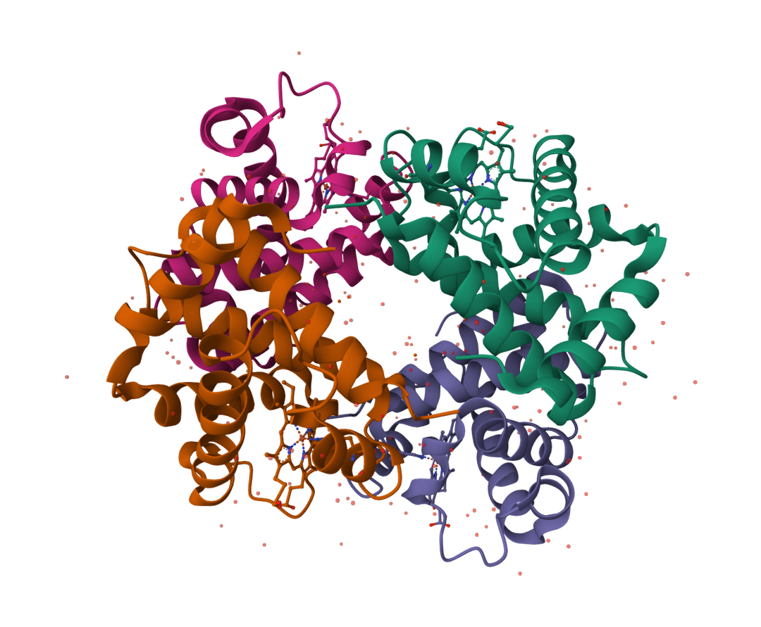 One to three Amino Acid Converter ProteinIQ one-to-three-amino-acid-converter-proteiniq