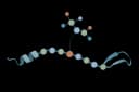 Glycosylation site finder icon