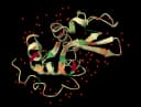 Hydropathy plot icon