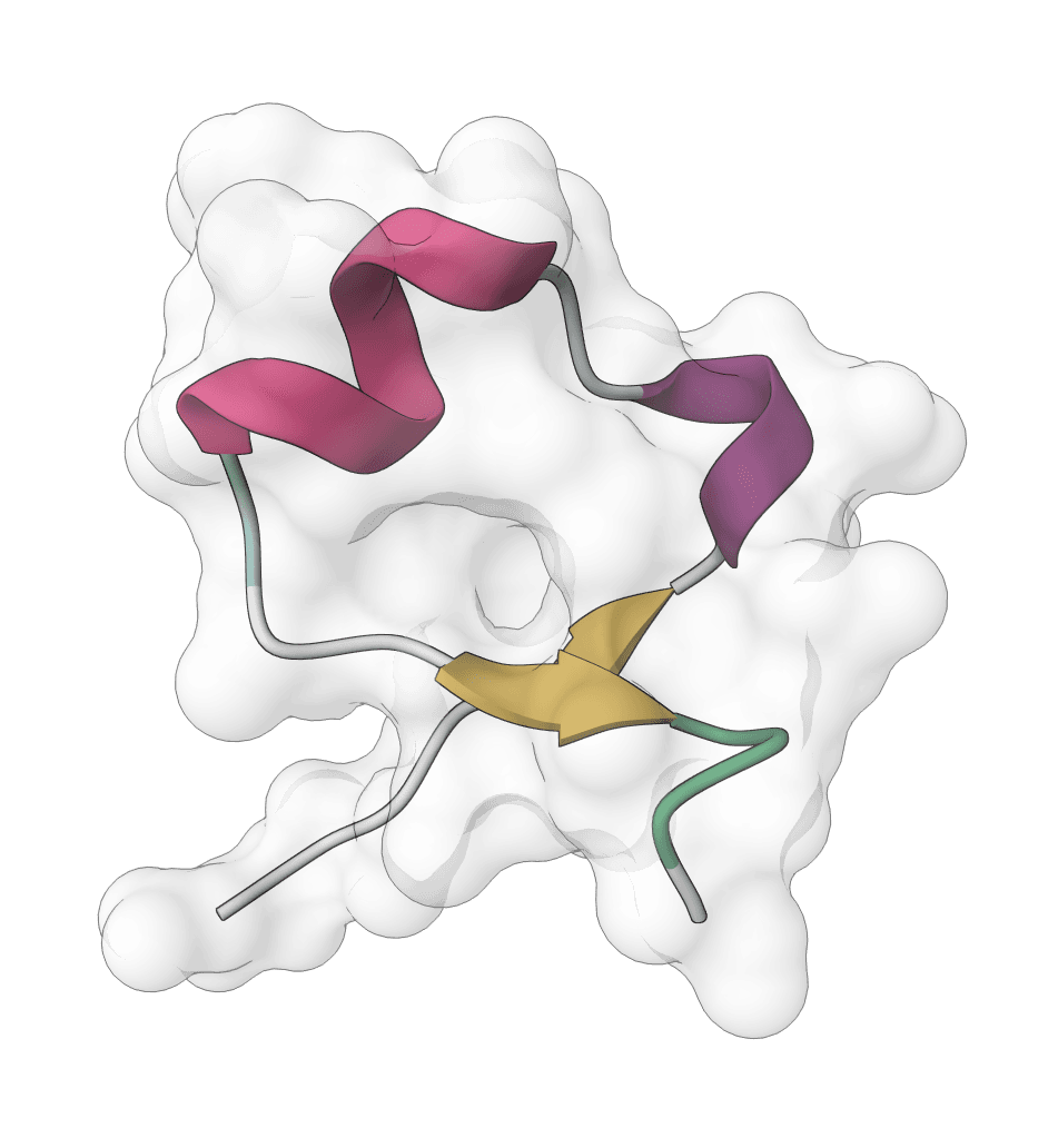 IntelliFold 2