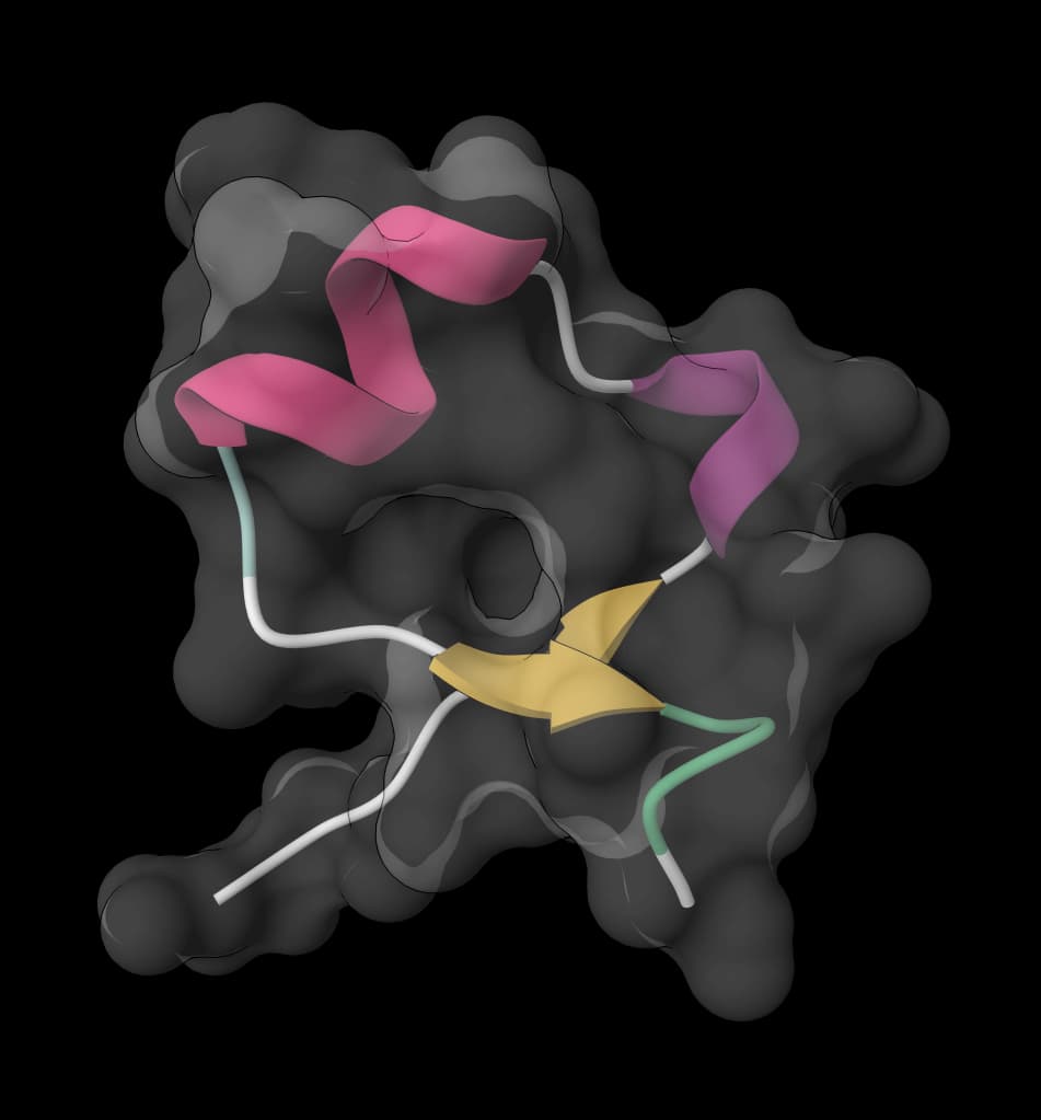 IntelliFold 2