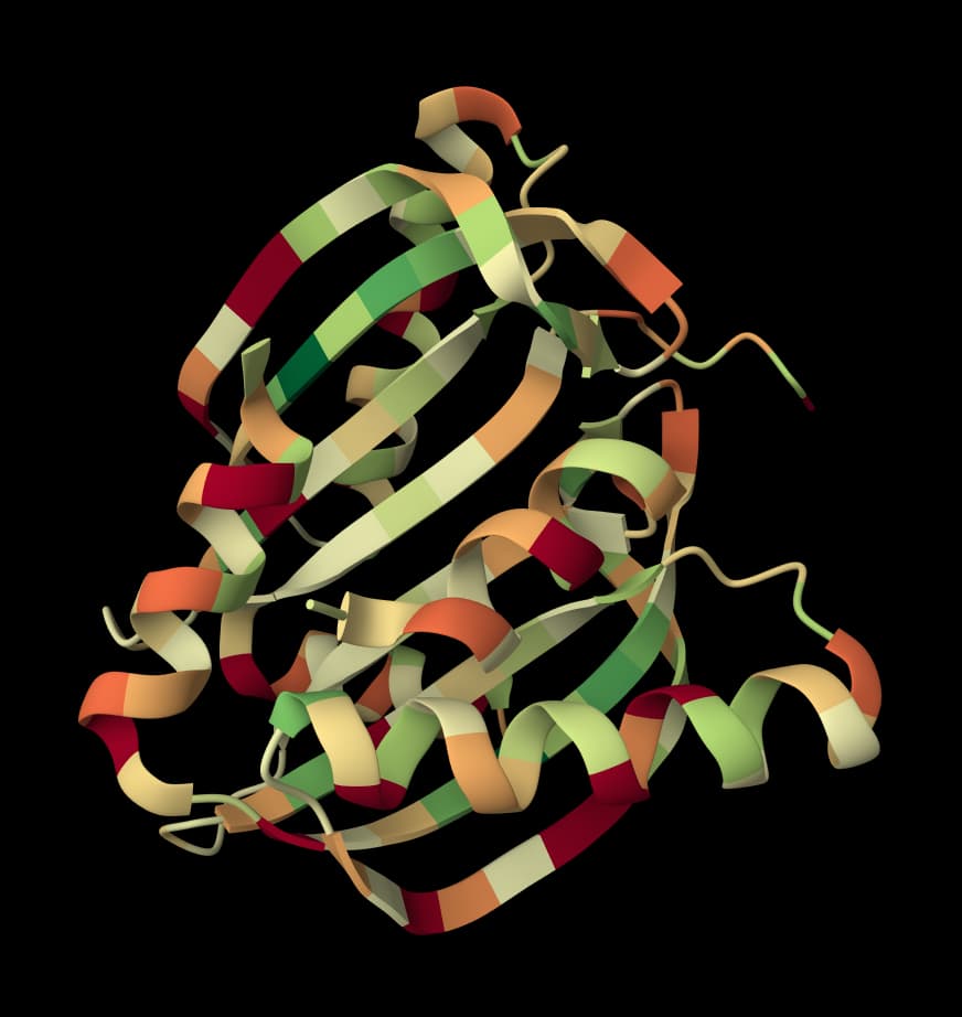 IPSAE icon