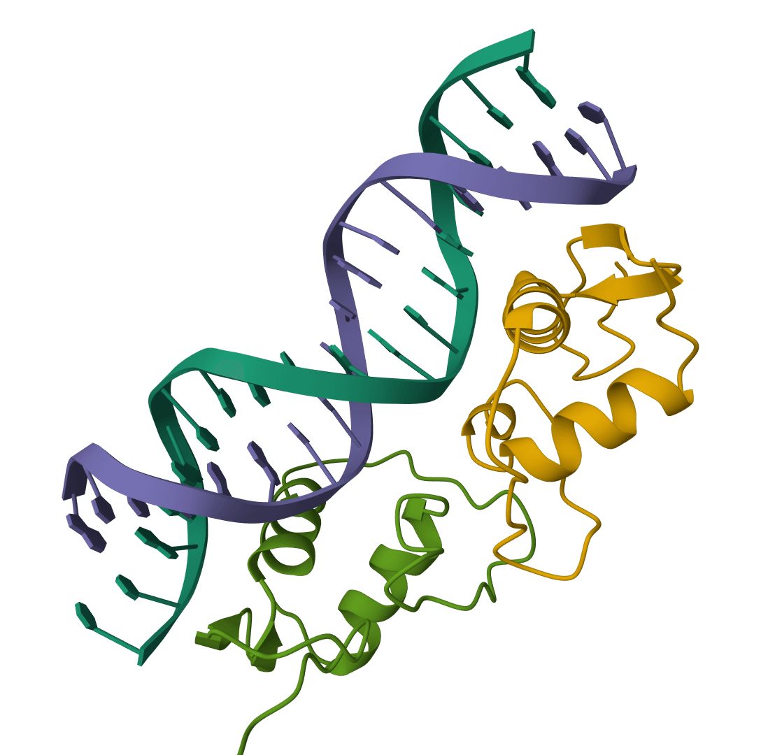 DNA ligation calculator