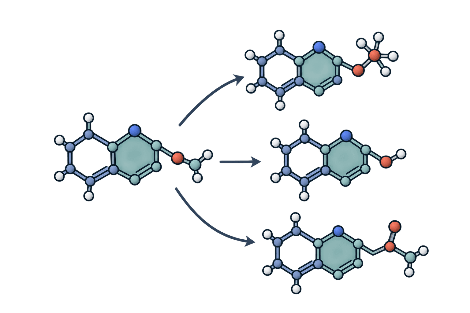 Molecular similarity search icon