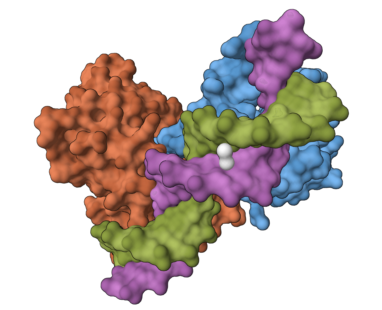 MolProbity example image