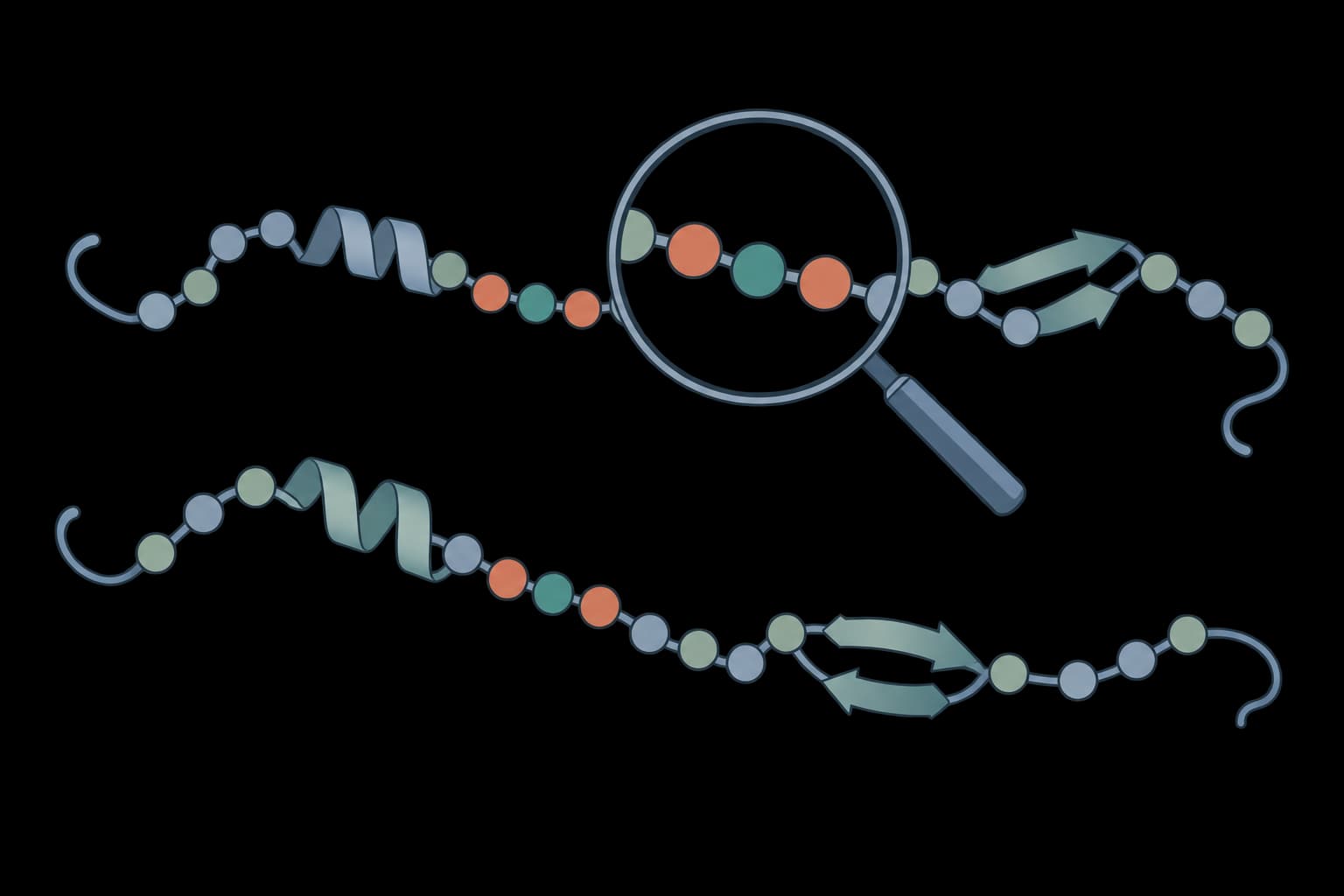 Protein motif scanner