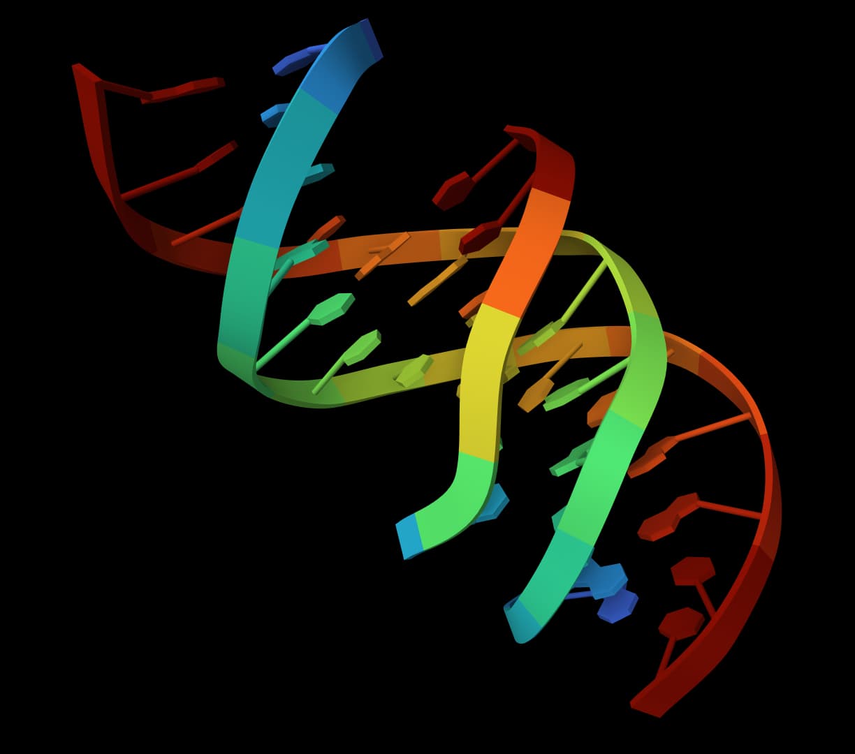 MUMmer4 icon