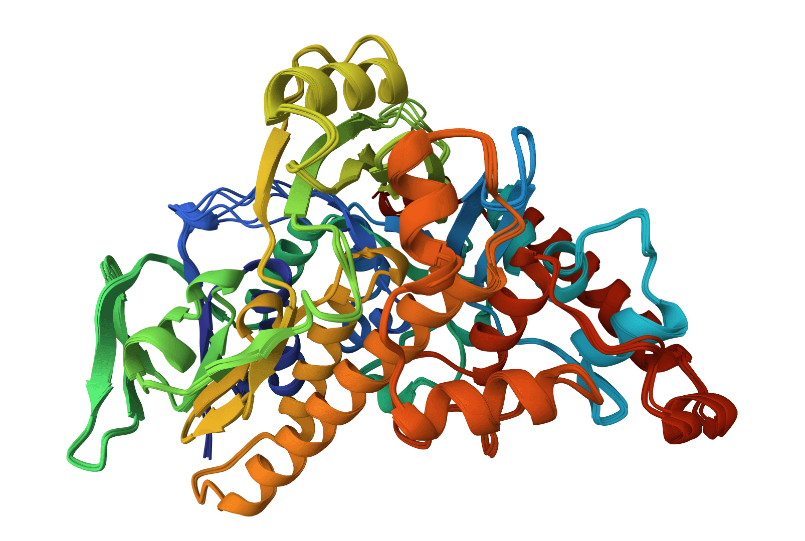 MUSCLE5 example image