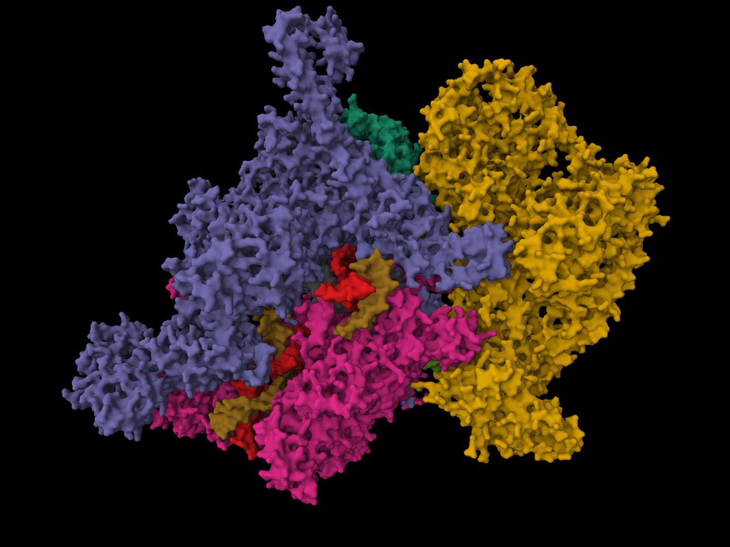 Protein-Sol icon