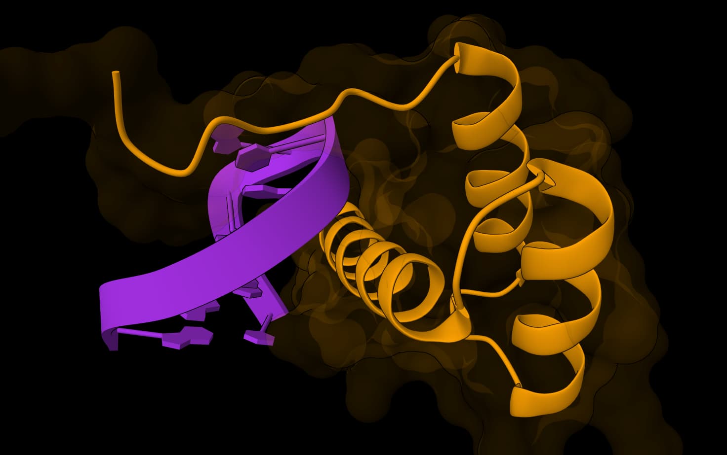 OpenFold-3