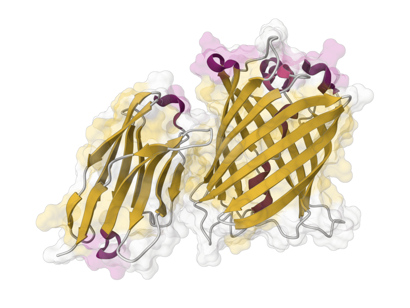 ParaSurf example image