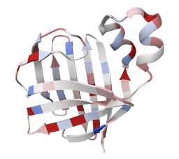 PDB to FASTA converter