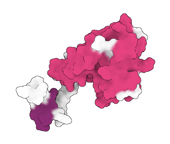 PDB to SDF Converter