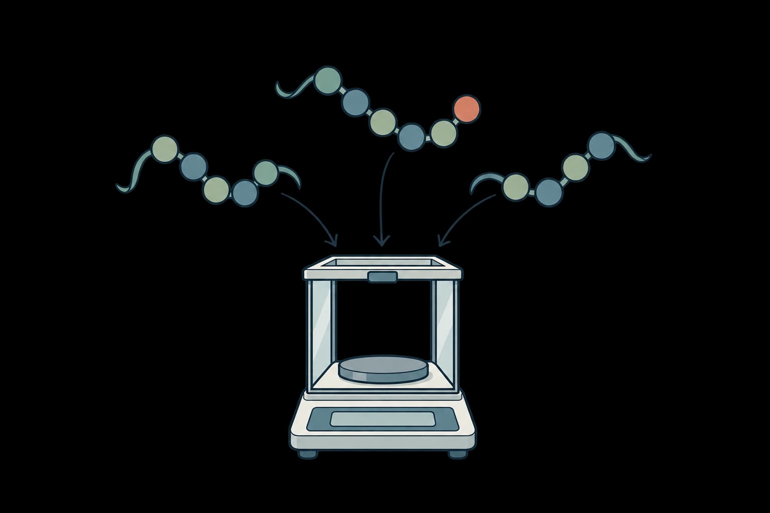 Peptide mass calculator
