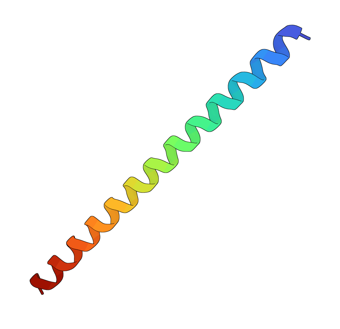 PeptideBuilder