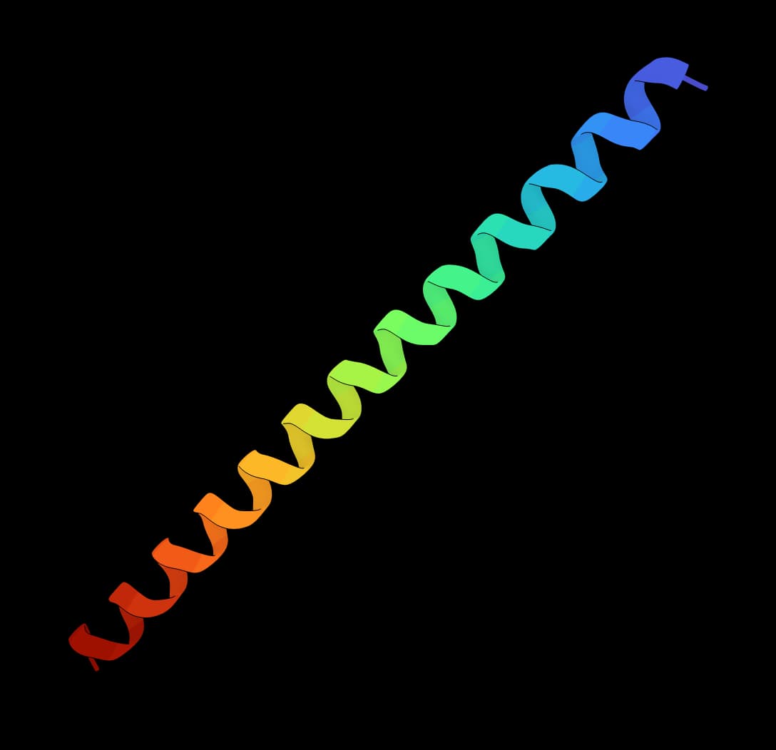 PeptideBuilder