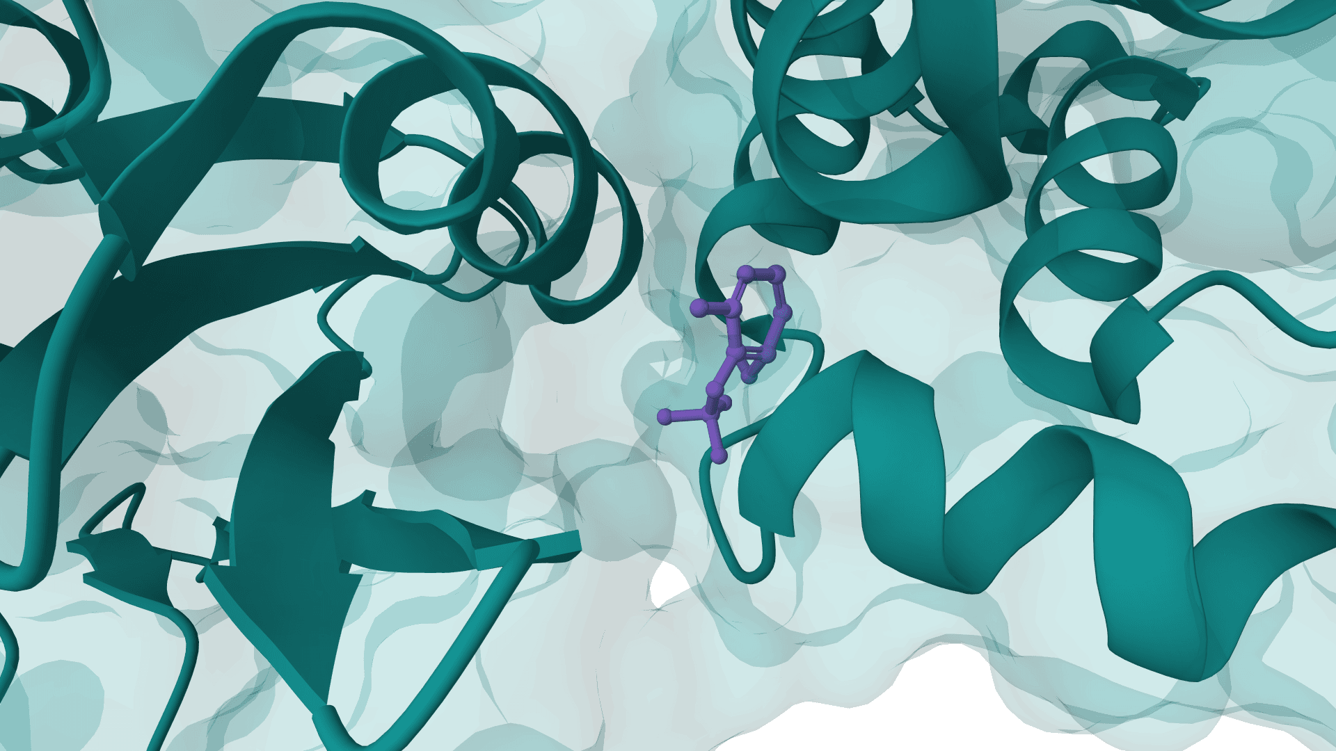 PocketFlow example image