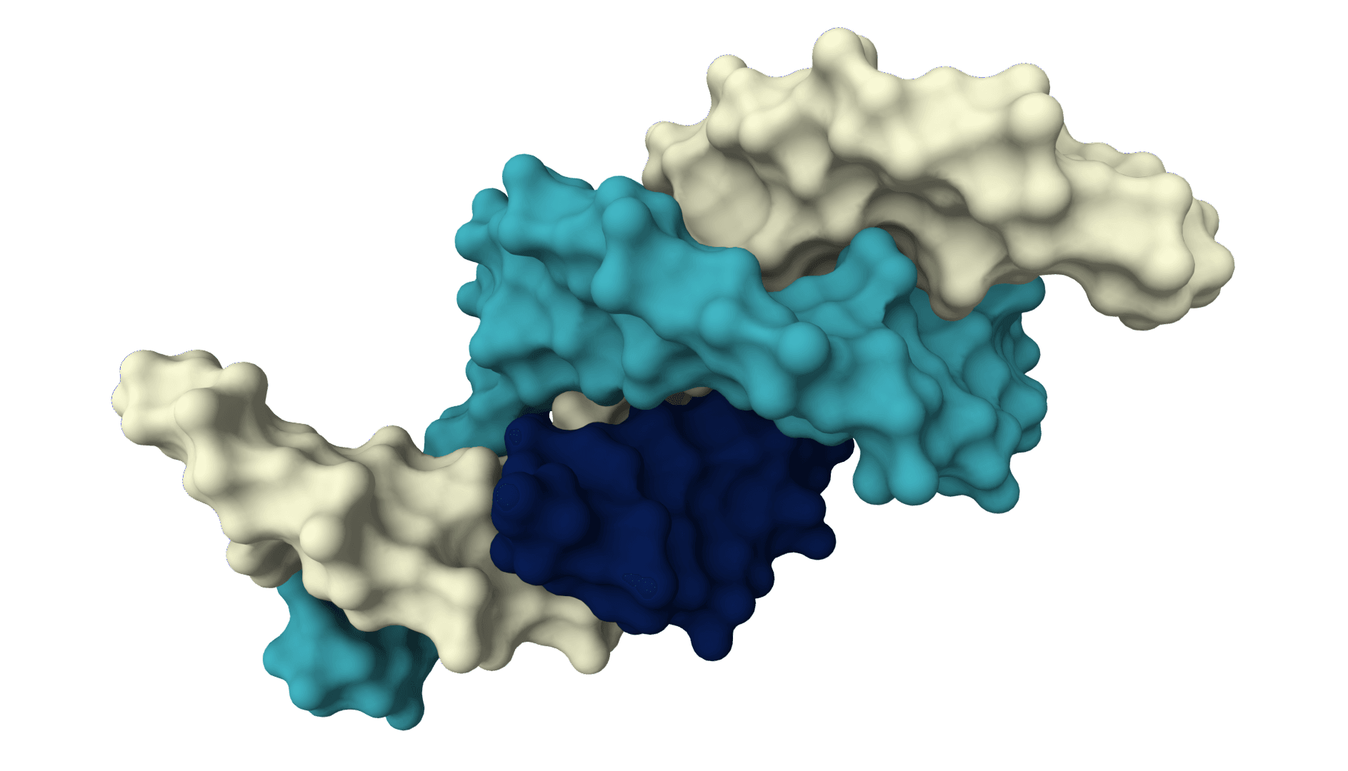 Primer3 example image