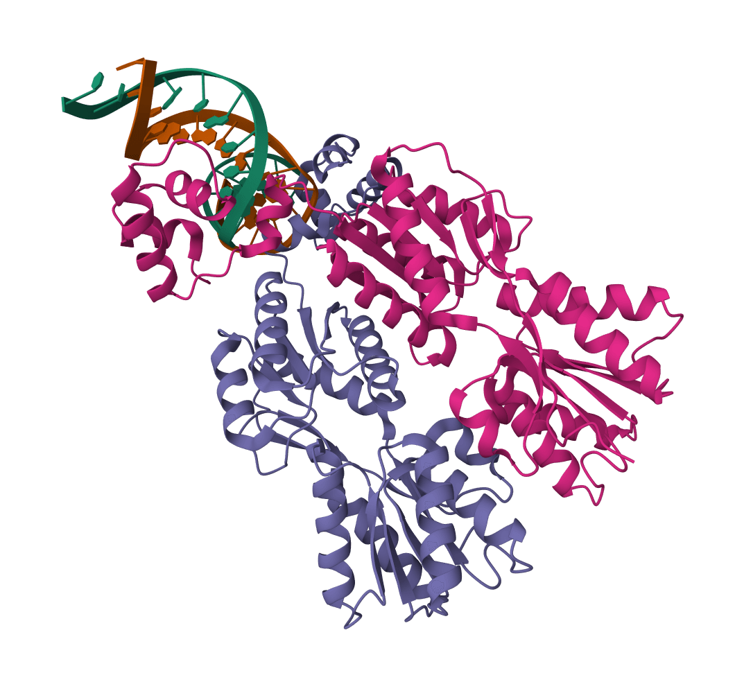 Protein parameters