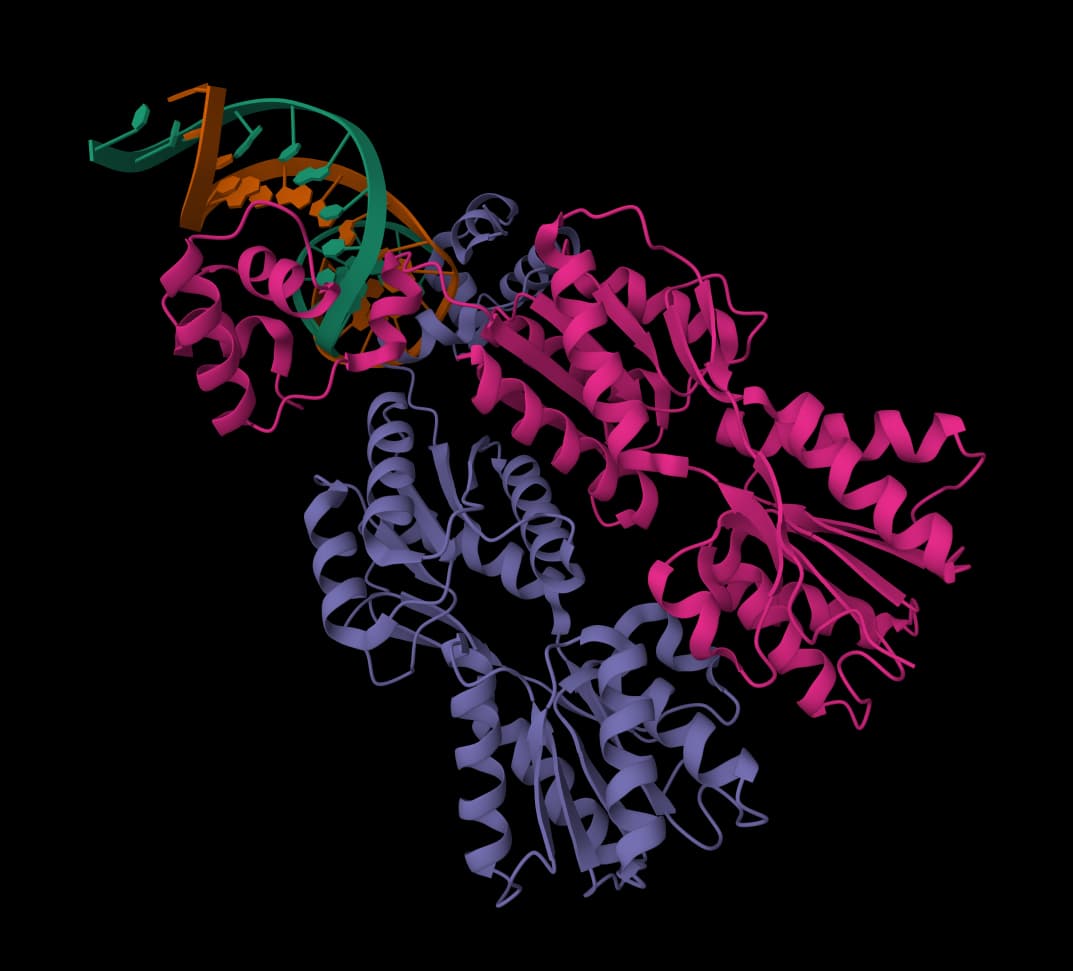 Protein parameters