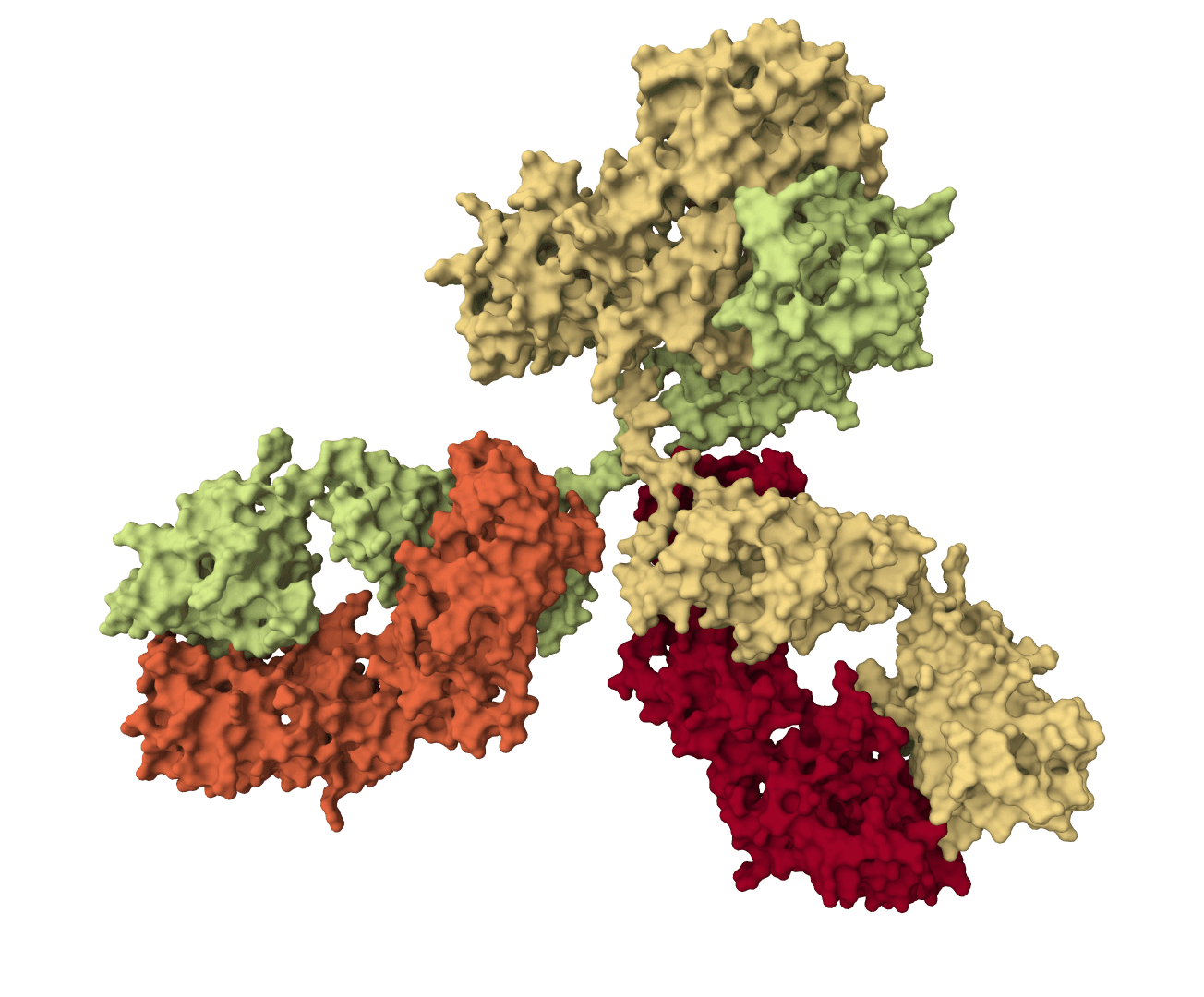 Proteo-R1