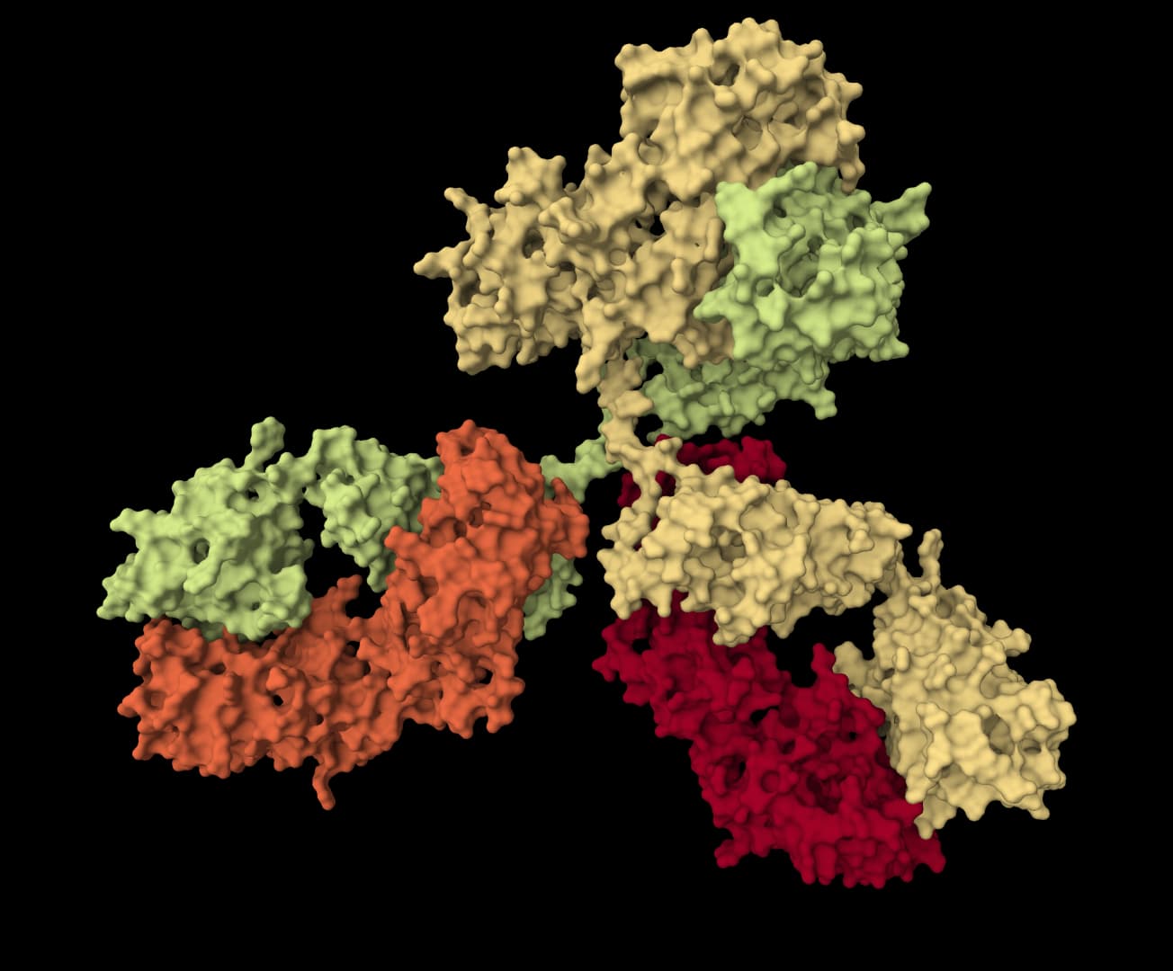 Proteo-R1