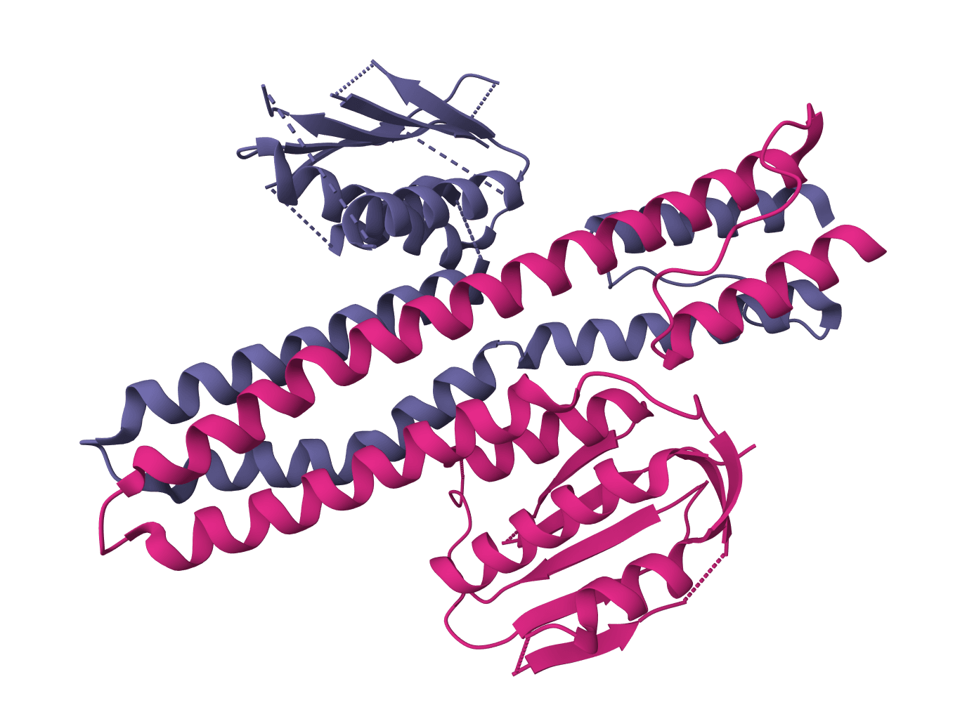 ProtGenIQ - Random protein sequence generator