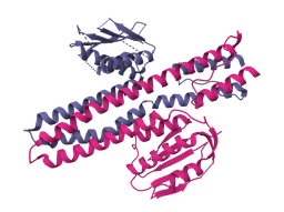 ProtGenIQ - Random protein sequence generator