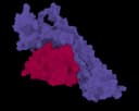 RFantibody icon