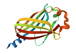 TXT to FASTA converter