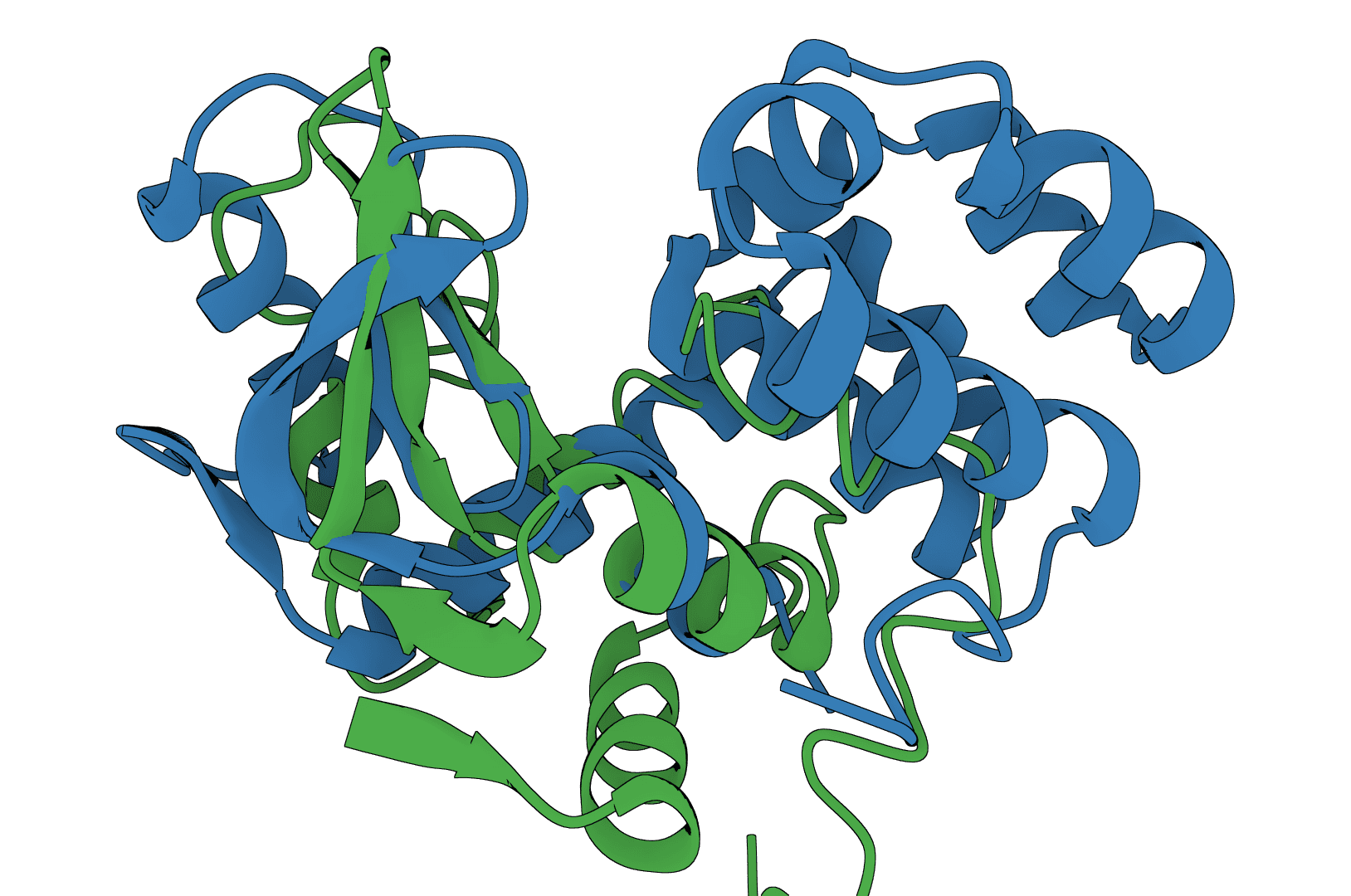 USAlign example image