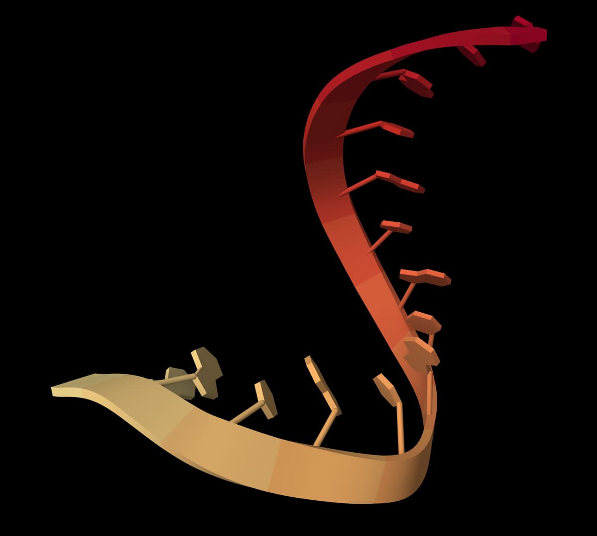 RNAdos icon