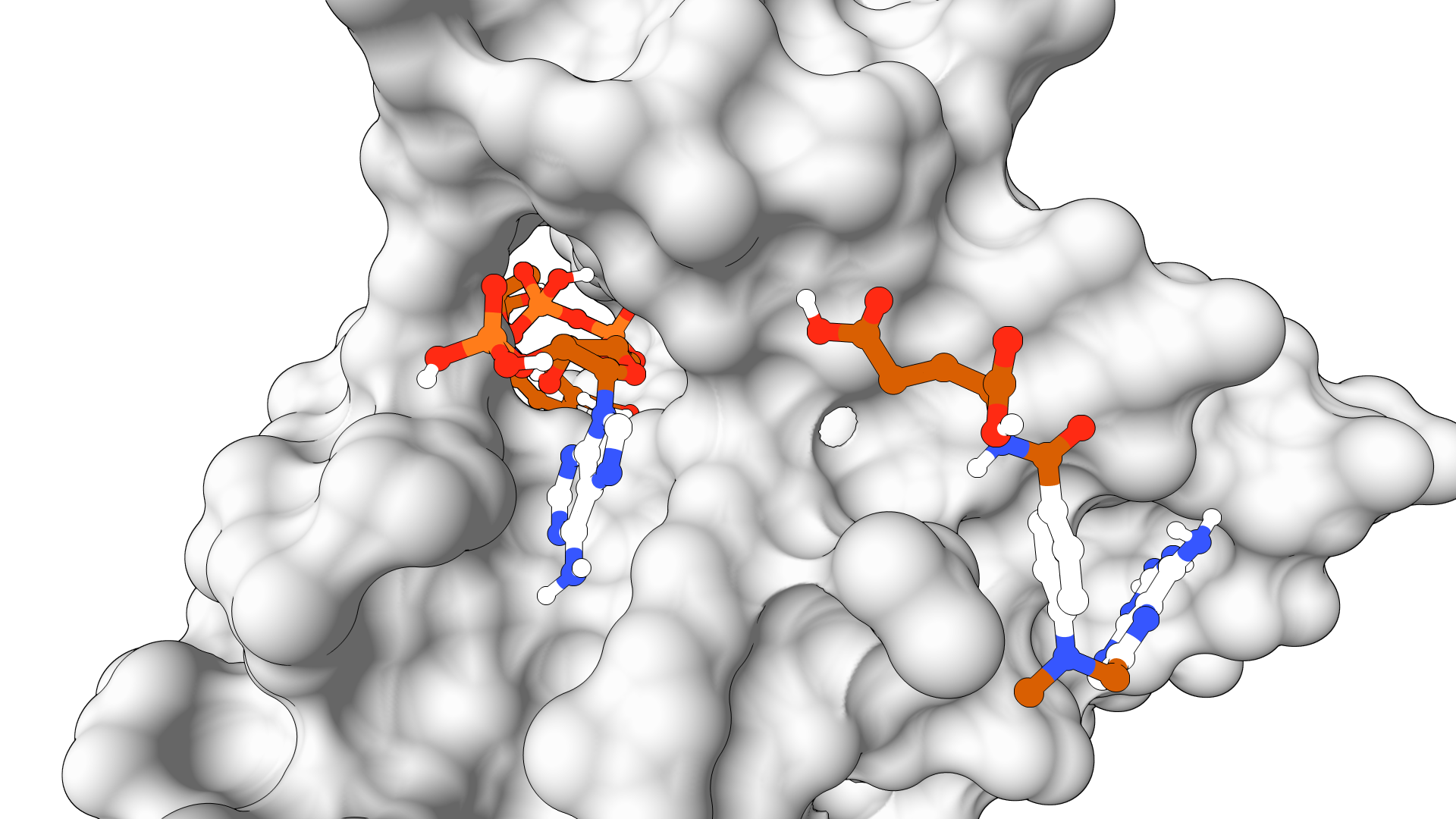 Use AutoDock-GPU Online | ProteinIQ