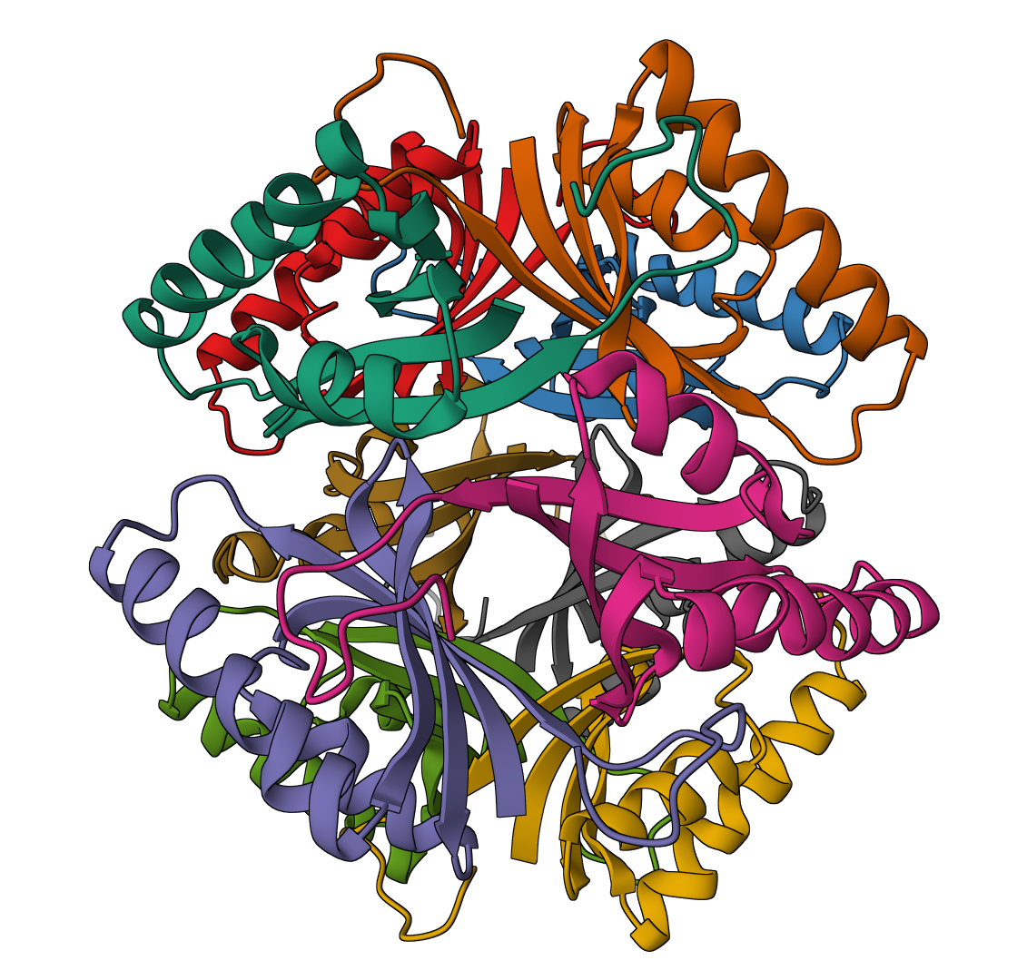 Use FASTA Splitter Online | ProteinIQ