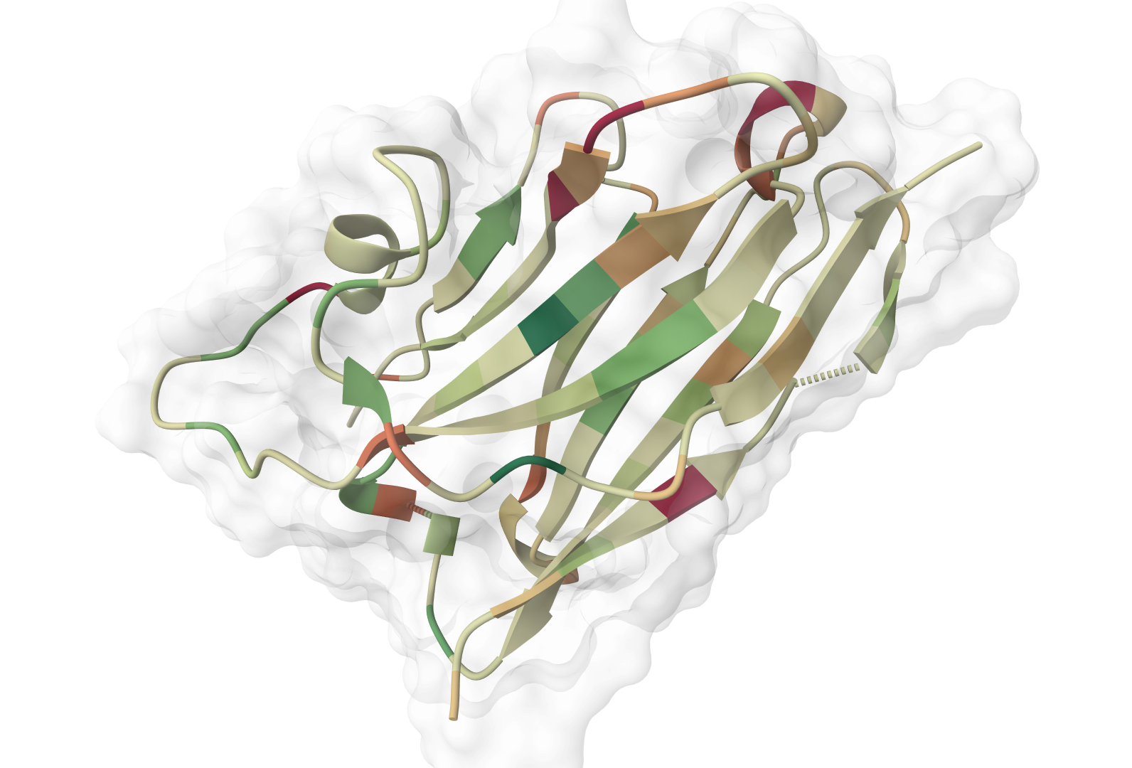 Use ImmuneBuilder Online | ProteinIQ